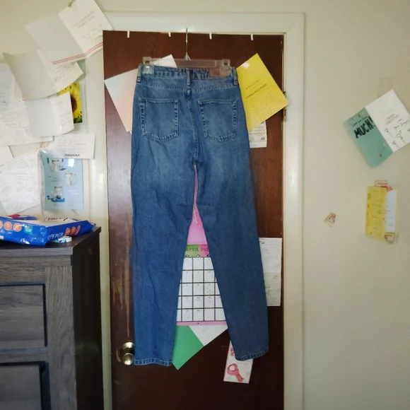 BDG Mom Jeans - Ribbed Seam Detail 25" - Picture 7 of 9